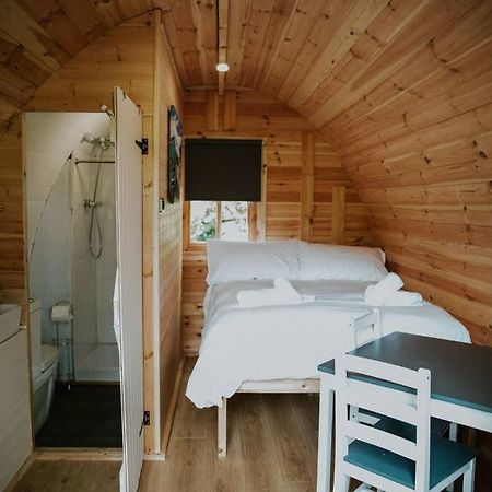 Ash Winter Retreat- Hot Tub & Log Bruner Barmouth Eksteriør billede