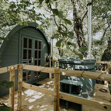 Ash Winter Retreat- Hot Tub & Log Bruner Barmouth Eksteriør billede