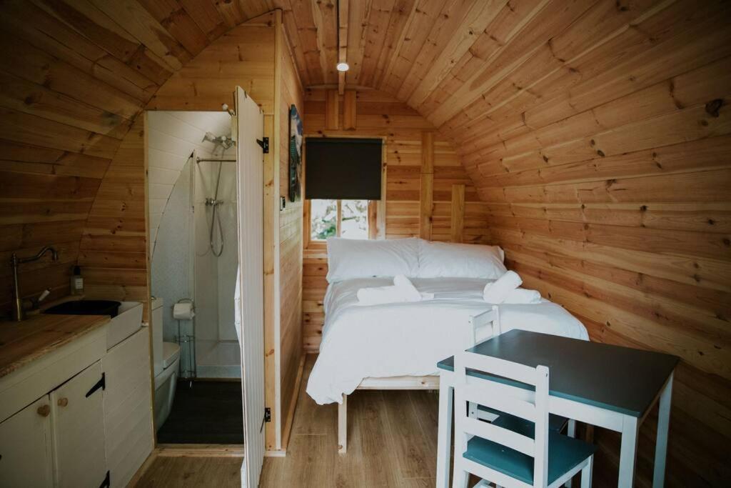 Ash Winter Retreat- Hot Tub & Log Bruner Barmouth Eksteriør billede